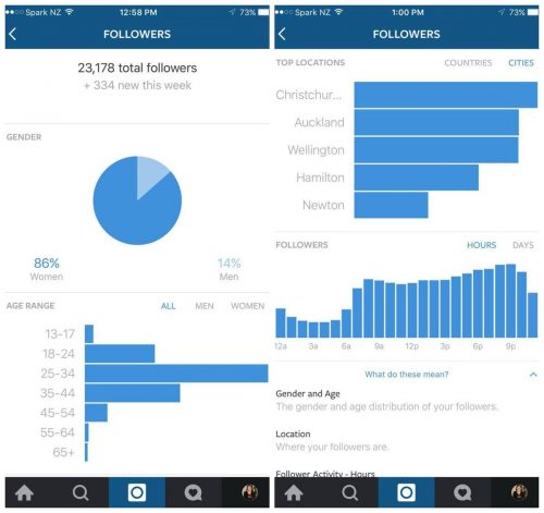 Instagram-analitica Analítica Instagram business