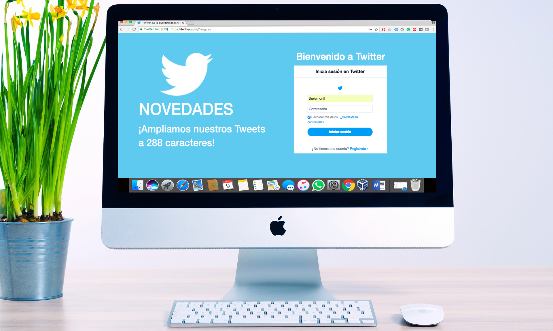 Twitter amplia a 288 caracteres