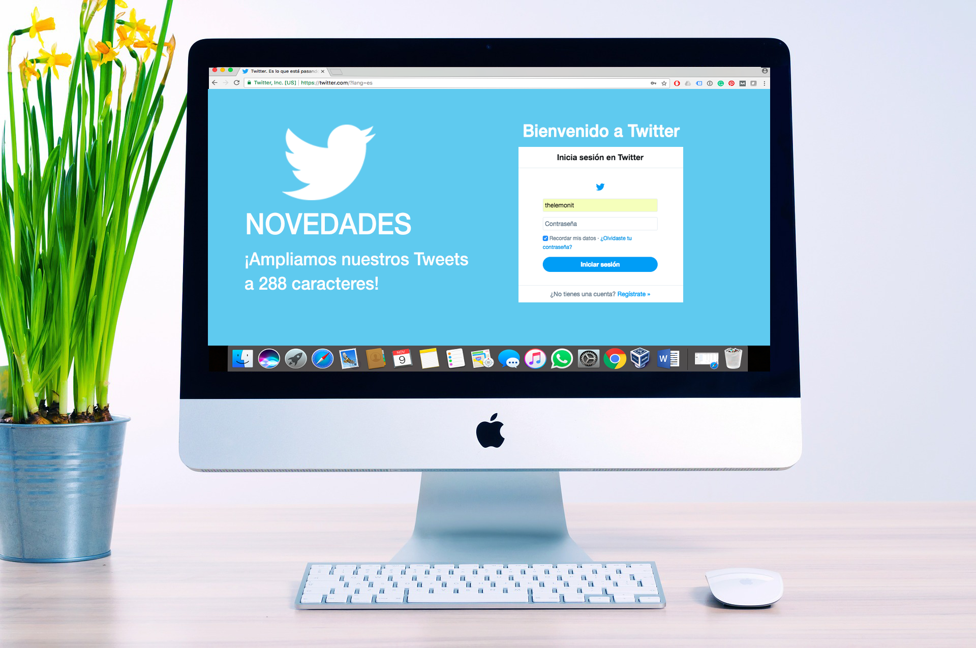 Twitter amplia a 288 caracteres